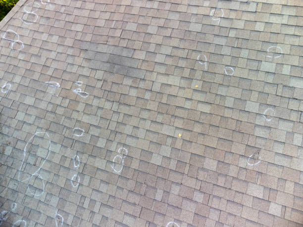 How Do I Know I Need a New Roof