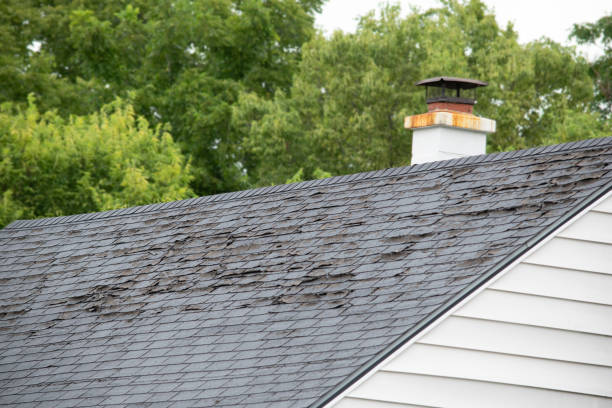 How Do I Know I Need a New Roof